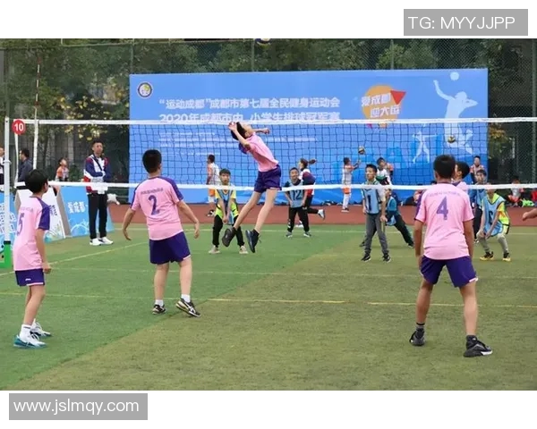 成都排球队的排球战术与运营体系探讨及其对竞技水平的提升分析